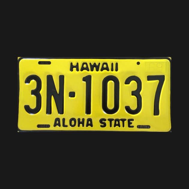 Hawaii Aloha State Licence Plate by Andyt