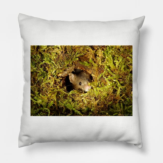 mouse in a mossy hole Pillow by Simon-dell