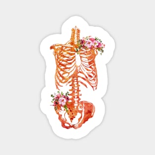 Skeleton Torso Magnet