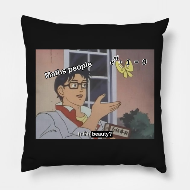 The most beautiful equation of maths : Eulers Equation Meme Pillow by Faeblehoarder