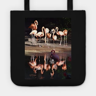 Caribbean Flamingo Tote