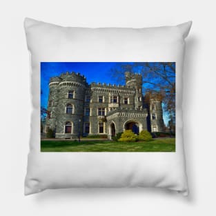 Arcadia University Pillow