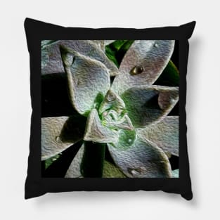 Stocksom Textured Succulent Pillow