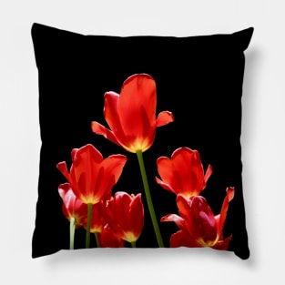 Tulips Pillow