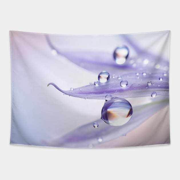 Water Drop Dewdrop Nature Serene Calm Tapestry by Cubebox