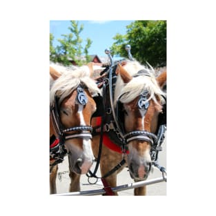 Working Horses at Solvang California T-Shirt