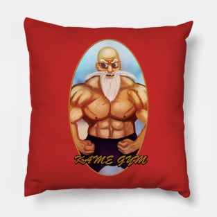 Kame Gym Pillow