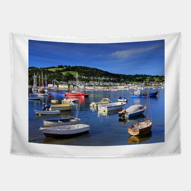 River Teign and Shaldon Tapestry by galpinimages