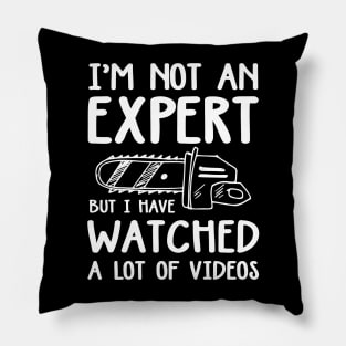 I'm Not an Expert But I Have Watched a Lot of Videos Pillow