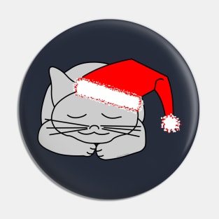 Santa Cap Cat Pin