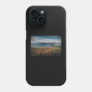 Geokaun View Phone Case