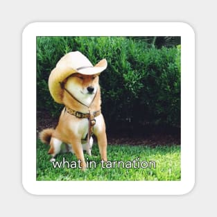 What in Tarnation Dog Magnet