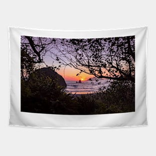 Houda Point Beach through trees Tapestry