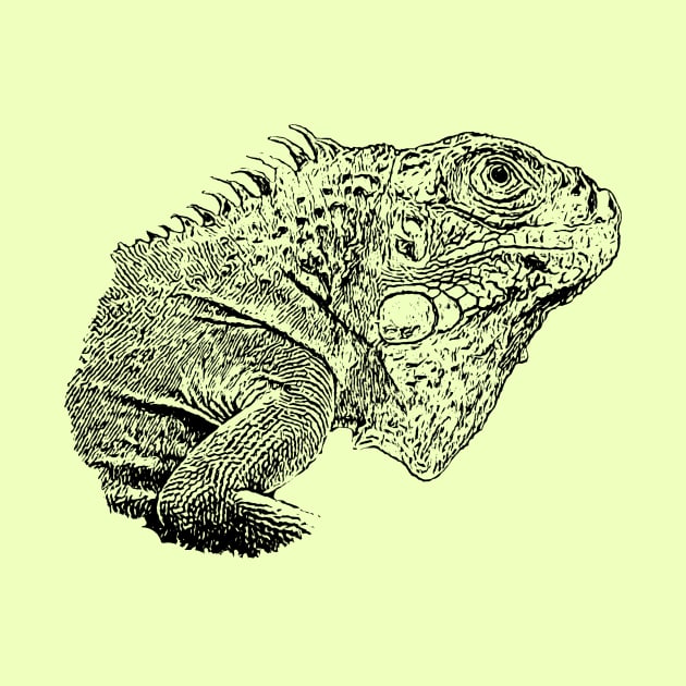 Iguana by Guardi