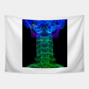 Cervical spine anatomy, 3D CT scan (C034/5265) Tapestry