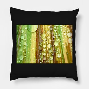 Shower Curtain Pillow