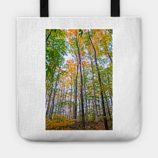 Autumn in the Tree Tops Tote