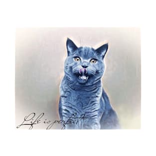 blue cat T-Shirt