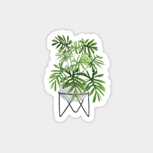 Potted Philodendron Plant Magnet