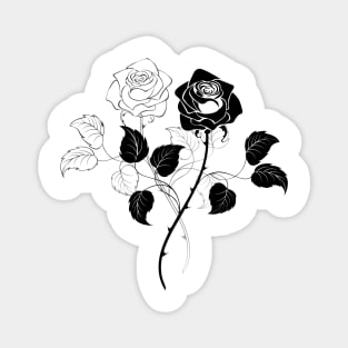 Two Roses ( Black and White ) Magnet