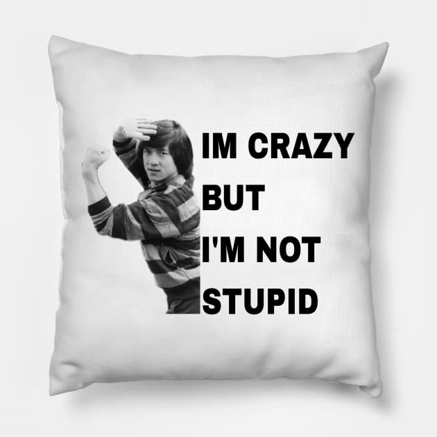 i'm crazy but i'm not stupid Pillow by valentinewords