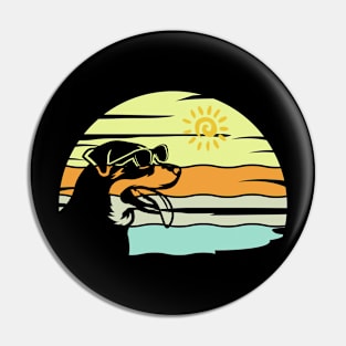 Cute dog in the sun Pin