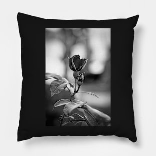 Flower in Italy Pillow