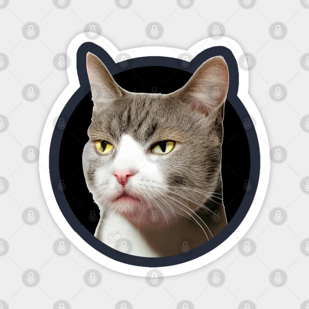 Sarcastic, indifferent cat...so, what? Magnet by Cavaleyn Designs