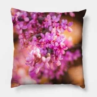 Shades of pink Pillow