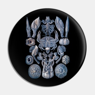 Ernst Haeckel Cirripedia Crab Blue Sky Pin