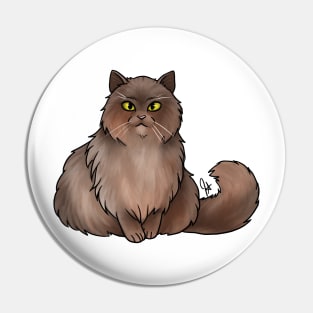 Cat - British Longhair - Brown Pin