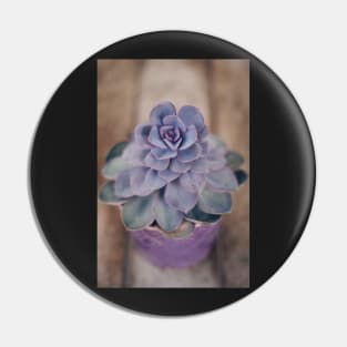 Purple Pearl in Pot Pin