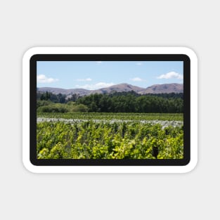 the vines Magnet