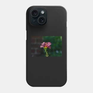 Day Lily Portrait Phone Case