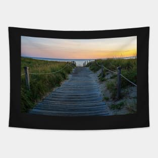 Sunrise on Scusset Beach State Reservation Sagamore MA Cape Cod Tapestry