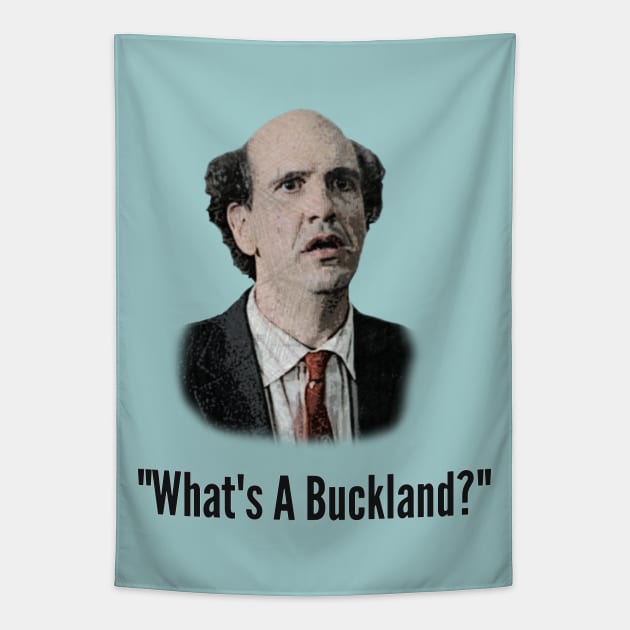 Ted - What's A Buckland? [SCRUBS] Tapestry by Absolute Will