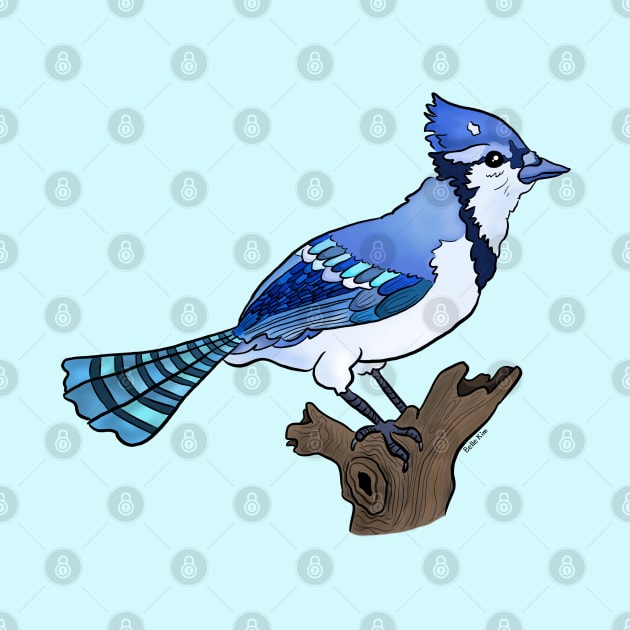 Bluejay bird on branch by doodletokki