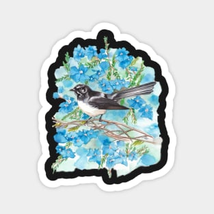 Willie Wagtail on Lechenaultia Magnet