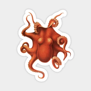 Red Octopus Magnet