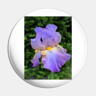 Purple Iris Photographic Image Pin