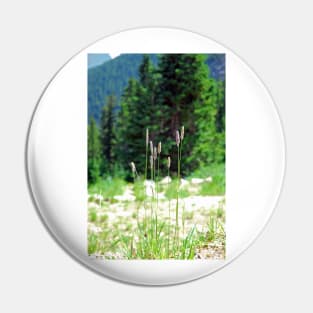 Berthoud Pass Tall Grass Pin