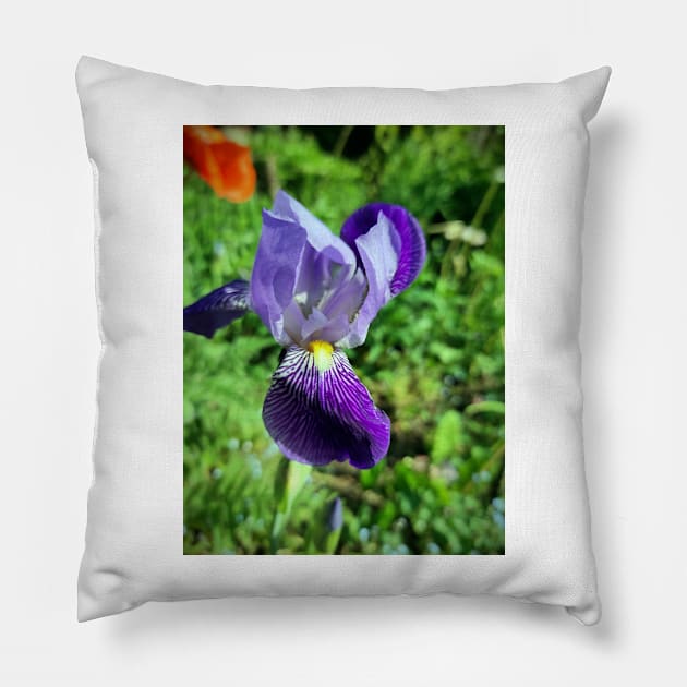 lily Pillow by Gourmetkater