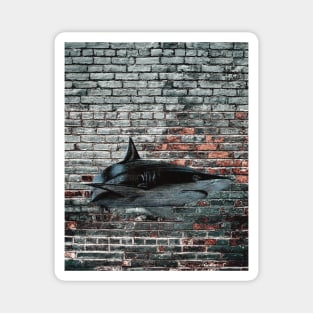 Graffiti shark Magnet