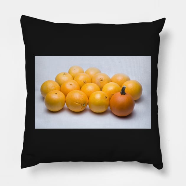 "Embracing Diversity" or "Take Me to your Leader" Pillow by wolftinz