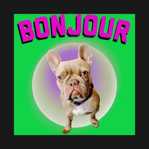 Isabella french bulldog bonjour by French bullies 