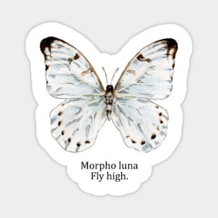 morpho luna Magnet