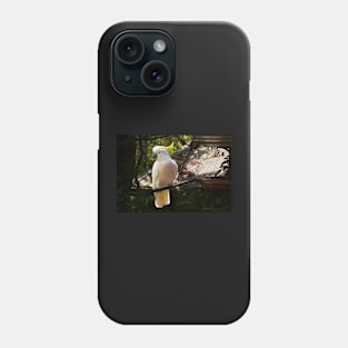 Sulphur Crested Cockatoo, Warburton Phone Case