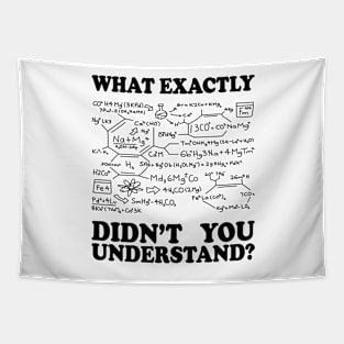 What Exactly Didn't You Understand? Tapestry