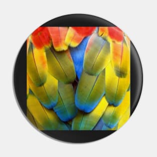 Scarlet Macaw  design perfect for people who loves parrots. The design is also great for abstract Color. Pin