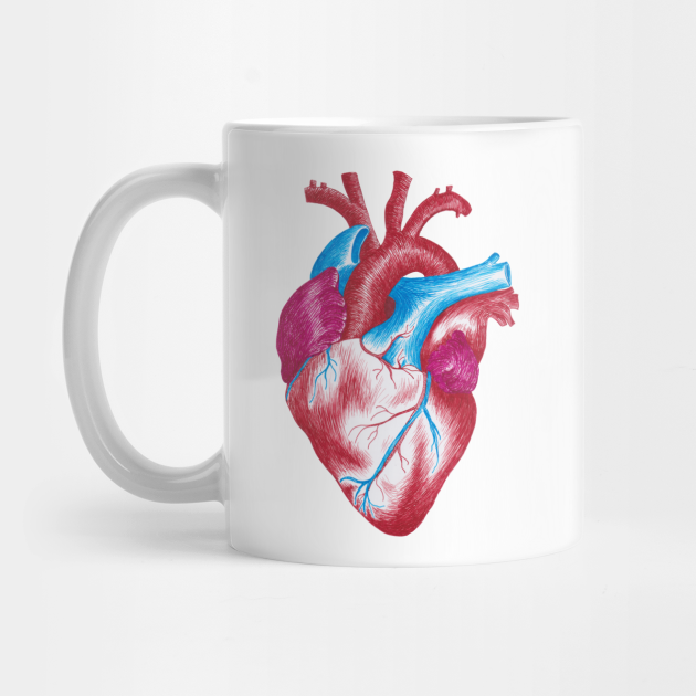 Human Heart Anatomical In Pen Ink Handadrawn Human Heart Anatomy Drawing Mug Teepublic